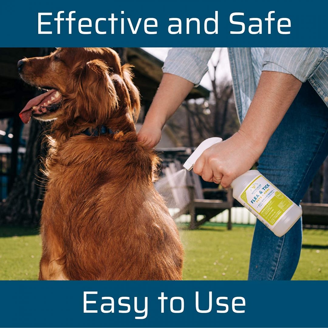 Flea Tick Spray Kit EcoFriendly Garden Products